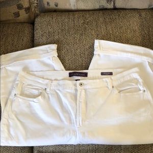 White Gloria Vanderbilt Amanda Capris